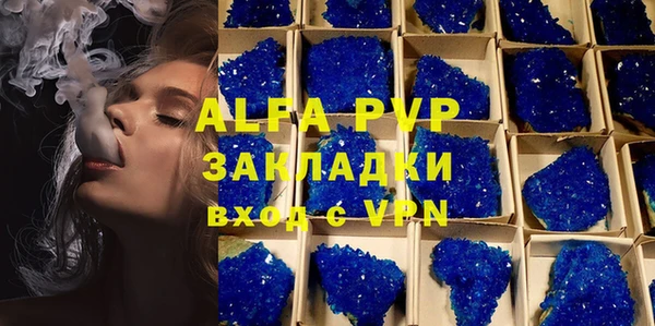 ECSTASY Алзамай