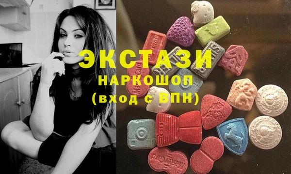 ECSTASY Алзамай