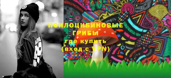 ECSTASY Алзамай