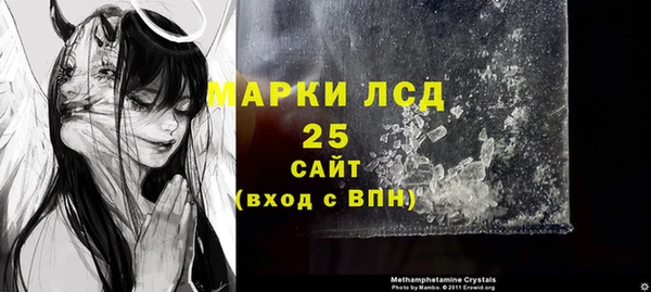 ECSTASY Алзамай