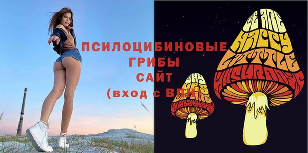 мет Алексеевка