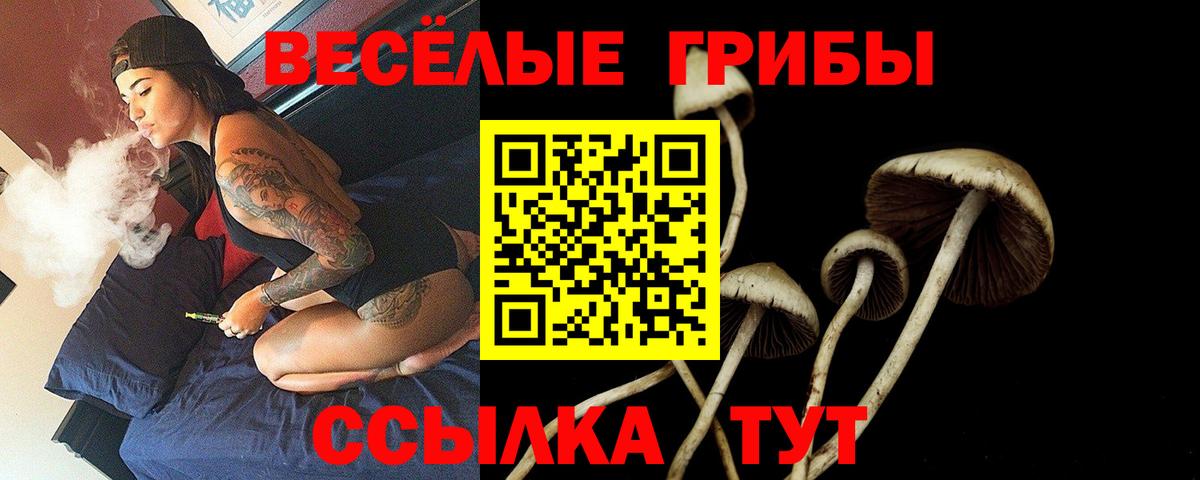 Галлюциногенные грибы прущие грибы Владивосток